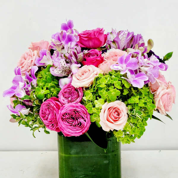 Beautiful and Blooming