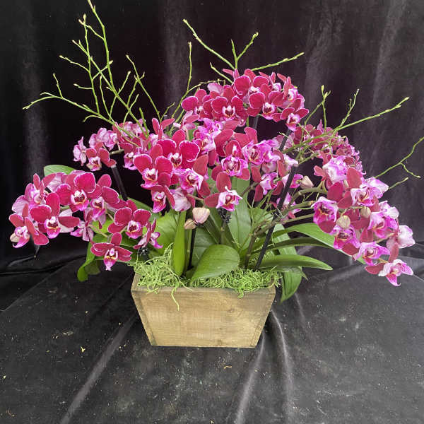 Pink orchid arrangement in a wooden planter with green accents