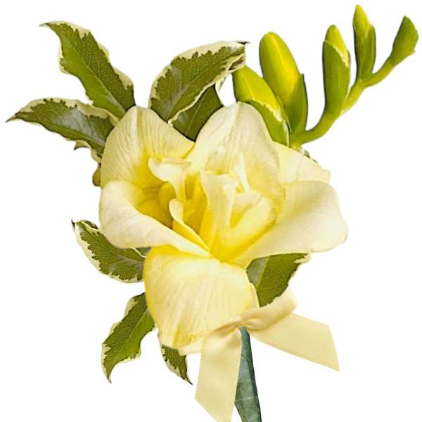 Yellow orchid boutonniere with green leaves and a ribbon
