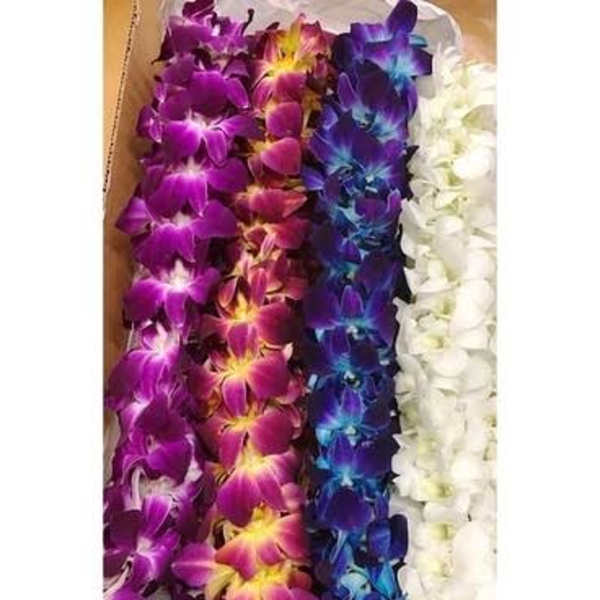 Double Orchid lei