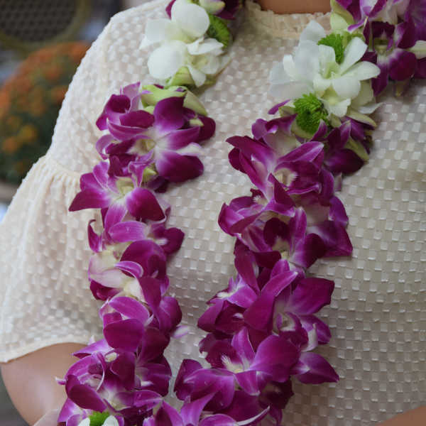 Purple and white orchid lei worn around a person’s neck and held in their hands