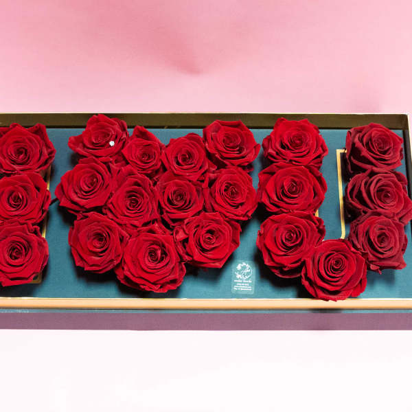 Red roses arranged in a rectangular gift box on a pink background