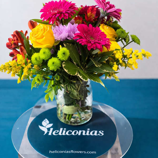 Sunburst Fuchsia Cylinder