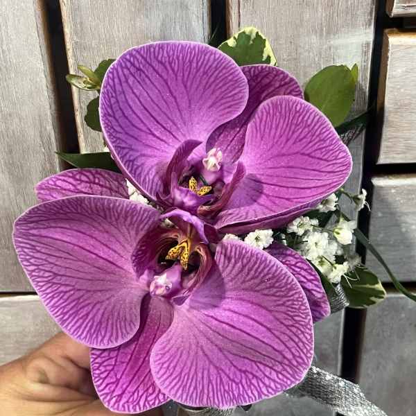 Handheld bouquet with large purple orchids and small white flowers