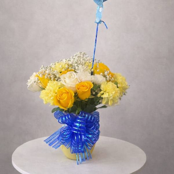 Baby Sunshine & Blue