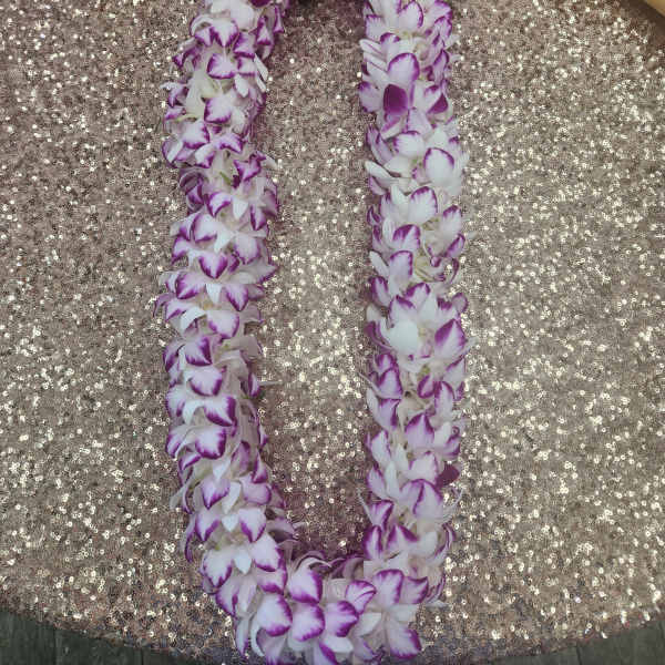 Hawaiian Lei - Flower lei - Fresh White and Purple Orchid Lei -