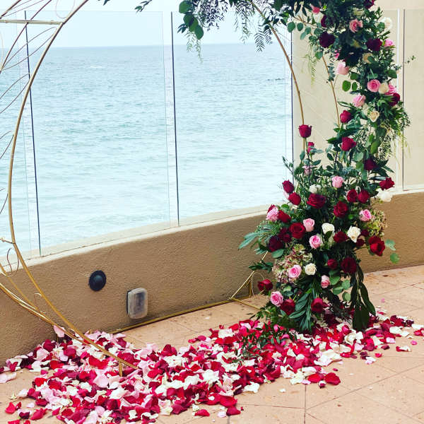 Floral arch with red, pink, and white roses over a petal-covered floor