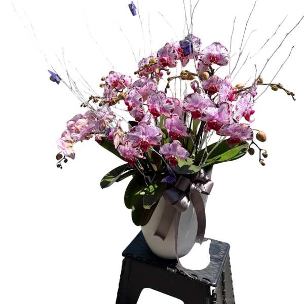 Botanical Bliss