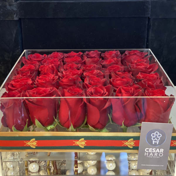 Modern Look II