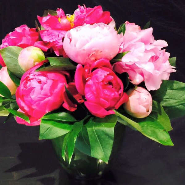 Pink peonies arranged in a dark vase with green leaves
