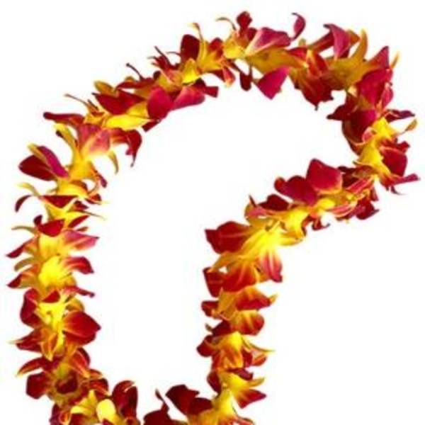 Red and yellow flower lei on a white background