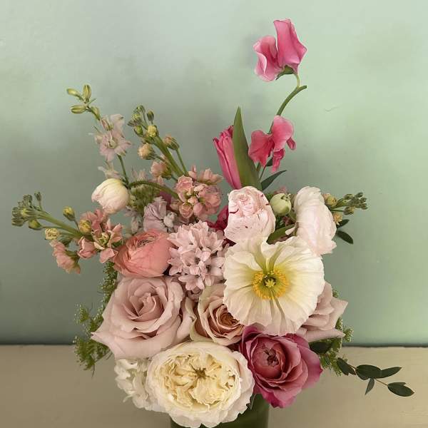 The Pippi