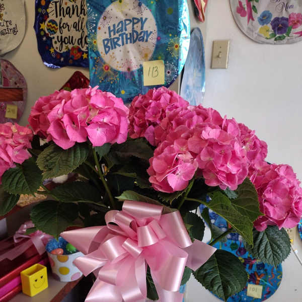 Pink hydrangea bouquet in a metal vase with a pink ribbon