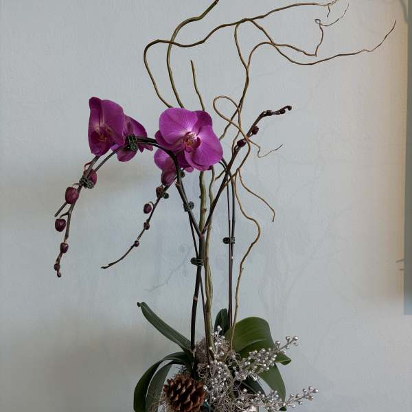 Tall orchid arrangement in a ribbed cream pot with decorative branches