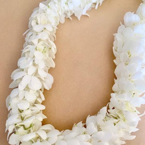 White flower lei on a tan background