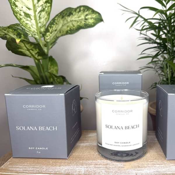 Soy candle in a glass jar with two matching boxes and potted plants behind it