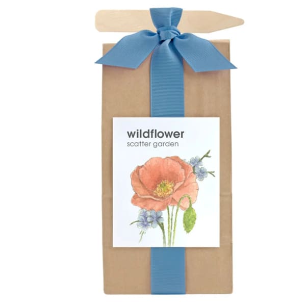 Wildflower Seed Kit