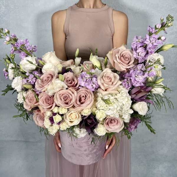Angel Wings D