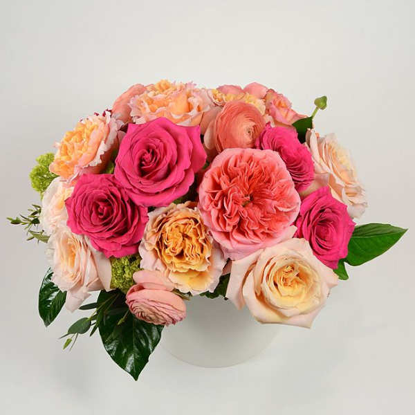 Rose Garden No.9