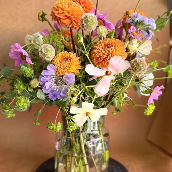 Dahlias on the wild