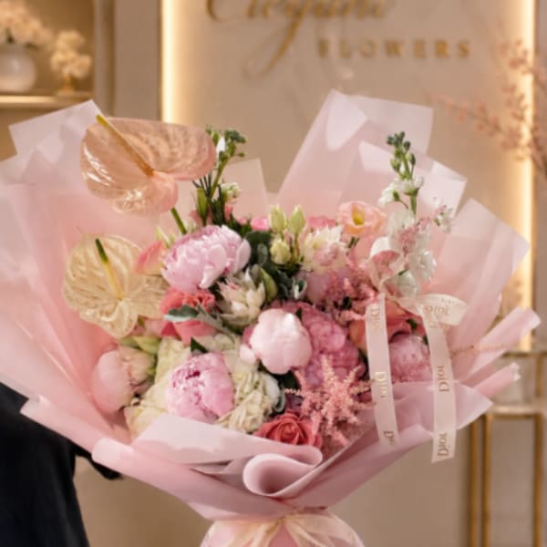 Maison Blush Collection