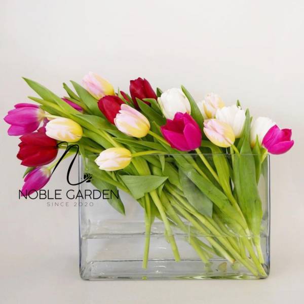 Mixed tulips in a clear rectangular vase