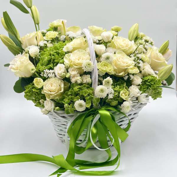 Green Morning