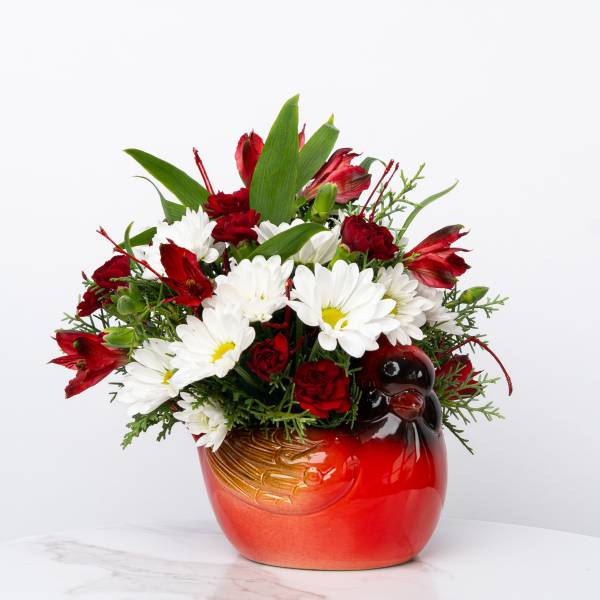 Our Honor Collection: Cheerful Cardinal