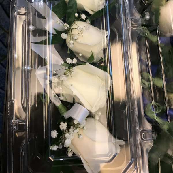 White rose boutonniere set in a clear plastic box