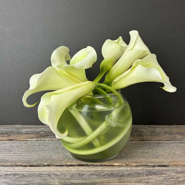 Curving Callas