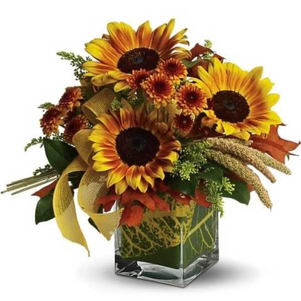 Funflowers