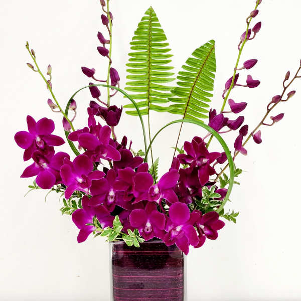 Orchid Symmetry