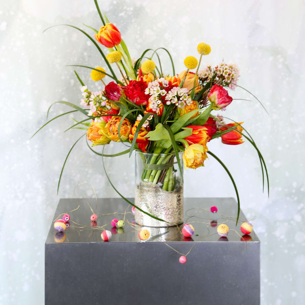 Little Tulip Posey