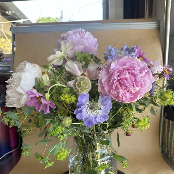 PEONIES IN THE WILD