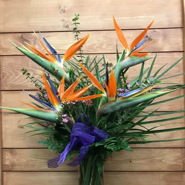 Bouquet of bird of paradise flowers in a glass vase with a purple ribbon
