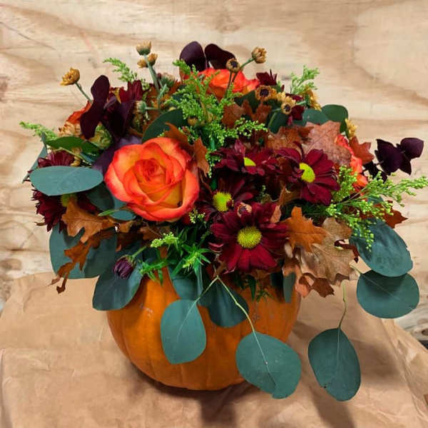 Fall floral arrangement in a pumpkin container with orange rose and burgundy blooms
