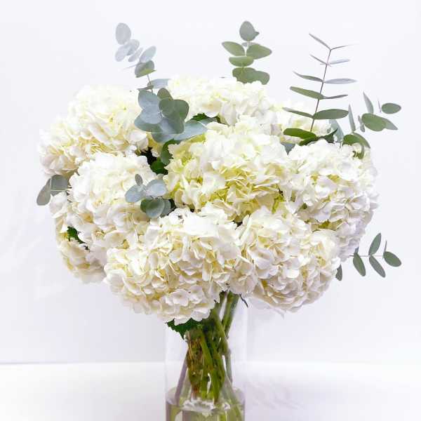 White hydrangea bouquet in a clear glass vase with eucalyptus