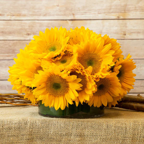 Bouquet of yellow sunflowers in a low glass vase