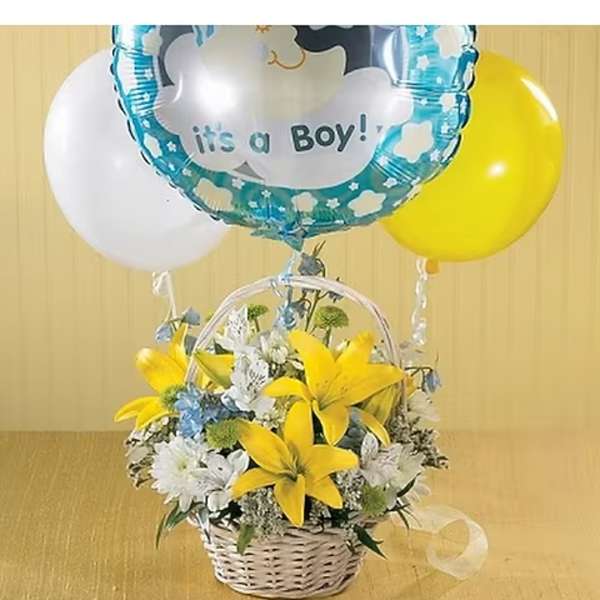 Boys are the Best!