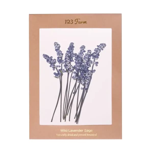 Pressed lavender sage stems mounted on a display card