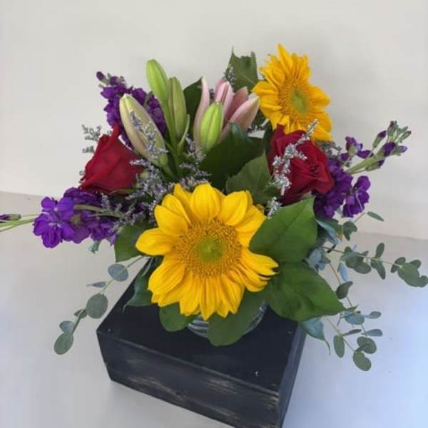 Best Day Wishes