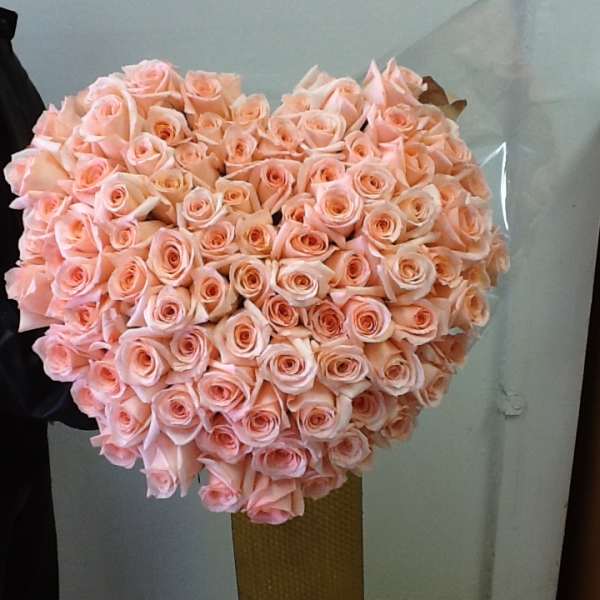Large bouquet of pale pink roses in a tall wrap