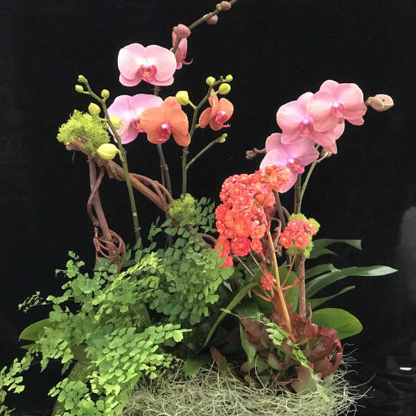 Orchid arrangement with pink and orange blooms in a wooden planter