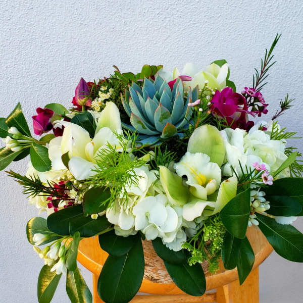 Mixed bouquet with white orchids, hydrangeas, and a blue succulent centerpiece