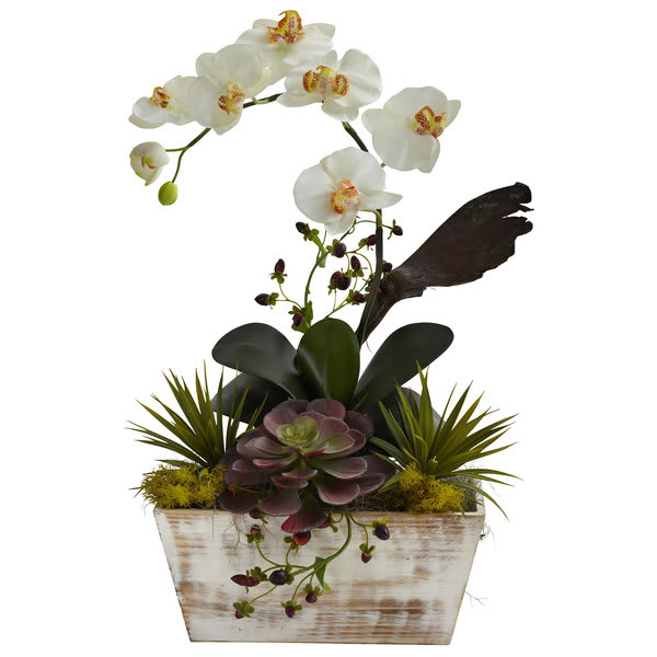 White orchid arrangement in a rustic wooden planter with succulents