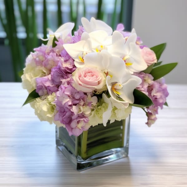 White orchids and pink roses in a square glass vase