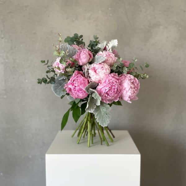 Pink Peonies