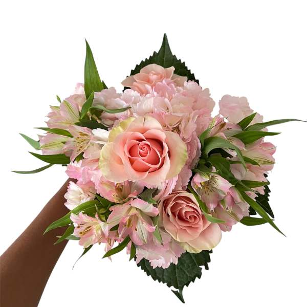 Idyllic Designer’s Special