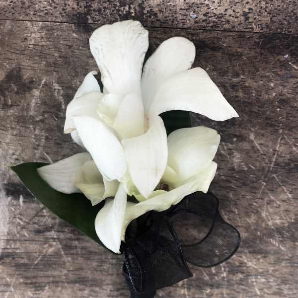 White orchid corsage with a black ribbon