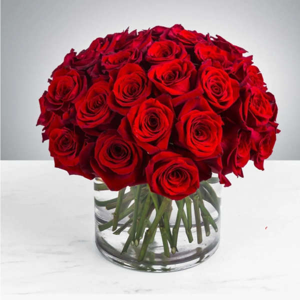 Red roses arranged in a clear glass vase